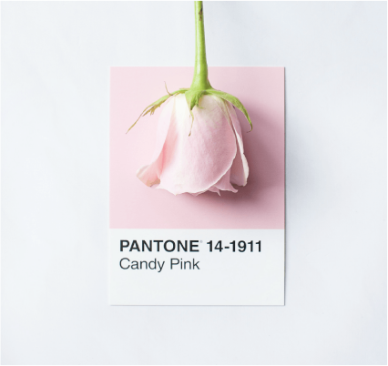 Pantone Colour